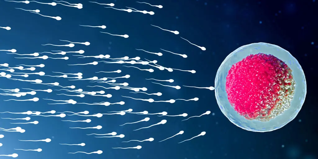 Inovi Fertility Breakthrough in Sperm DNA Testing: Understanding Male Infertility