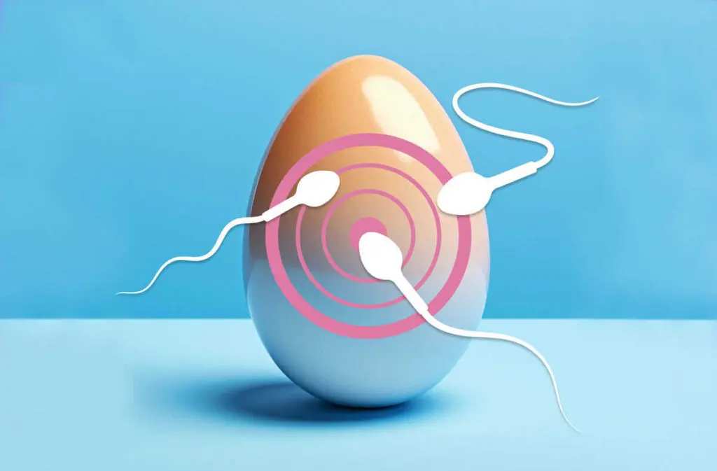 Inovi Fertility Egg Quality Improvement Techniques: Essential Lifestyle Changes for Fertility