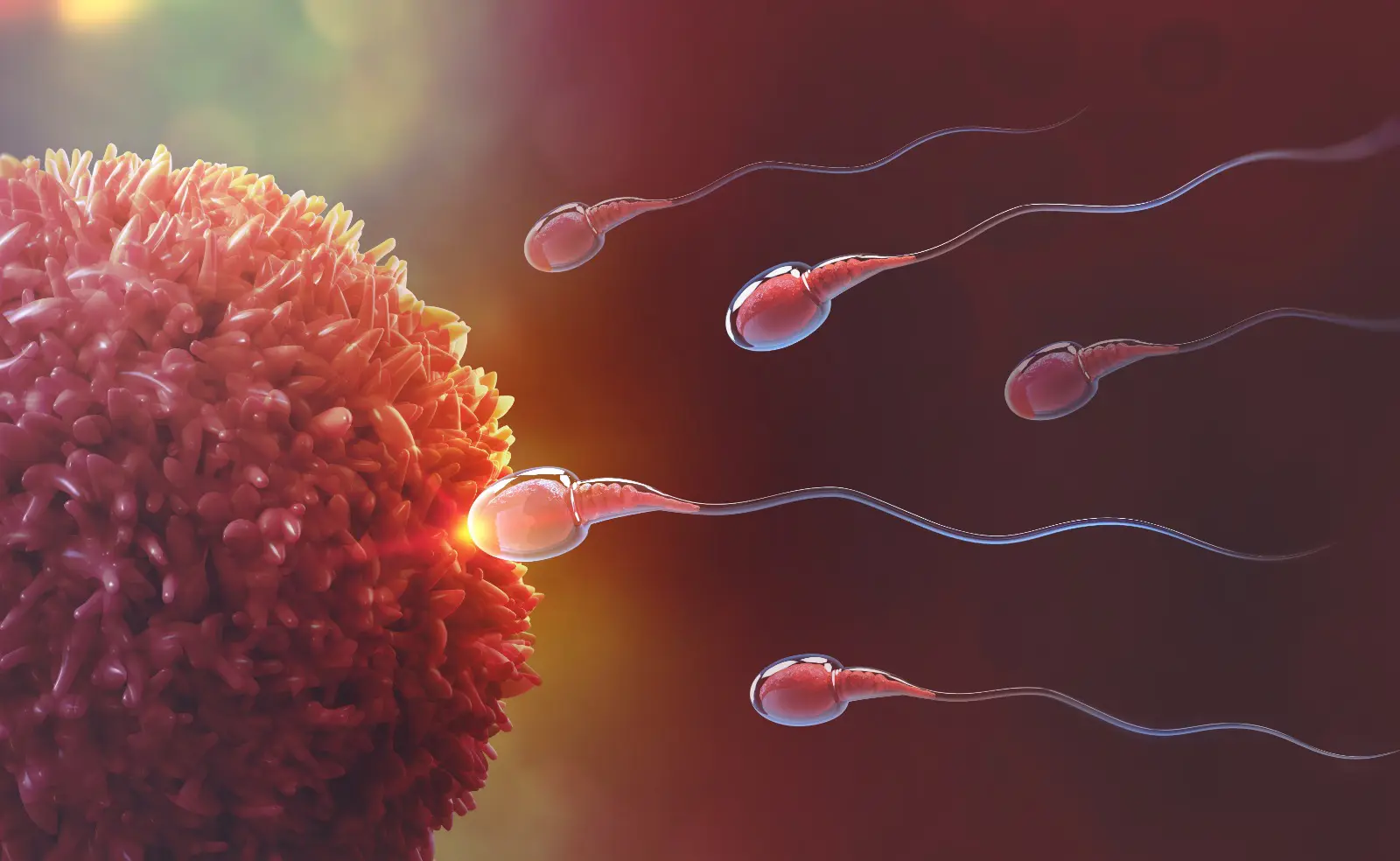 Artificial Embryo & AI IVF Experts | Fertility Specialist Texas - Image
