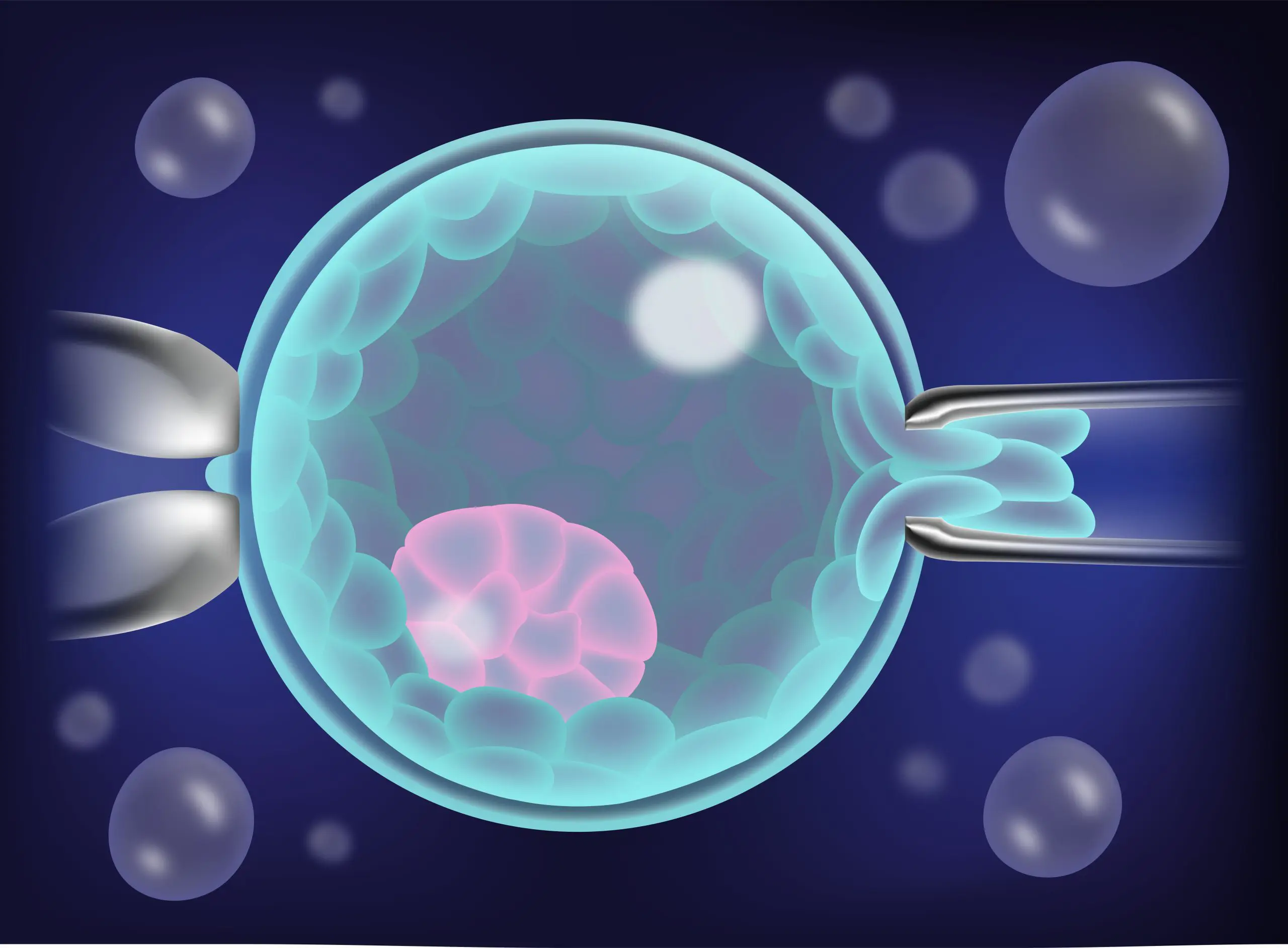Donor Embryos in Houston: Costs, Wait Times, and Fresh vs Frozen Guide - Image