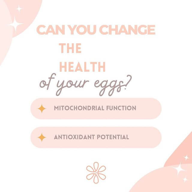 Can You Change the Health of your eggs?