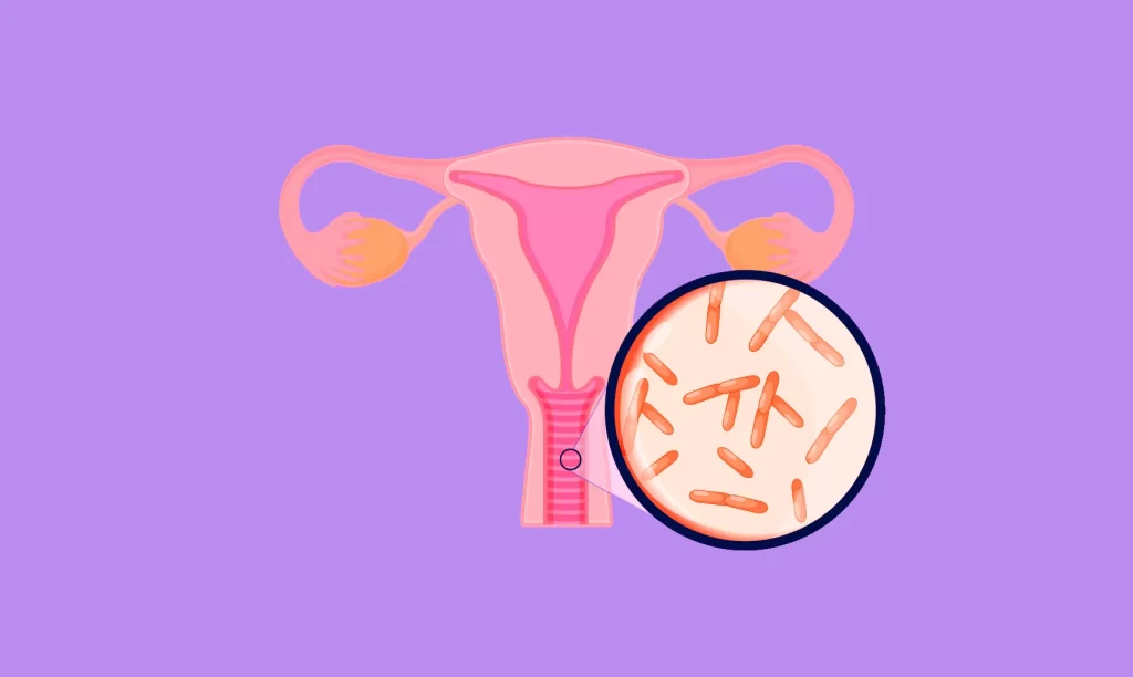 Inovi Fertility Microbiome and Fertility Connection: How Gut Health Affects Hormones