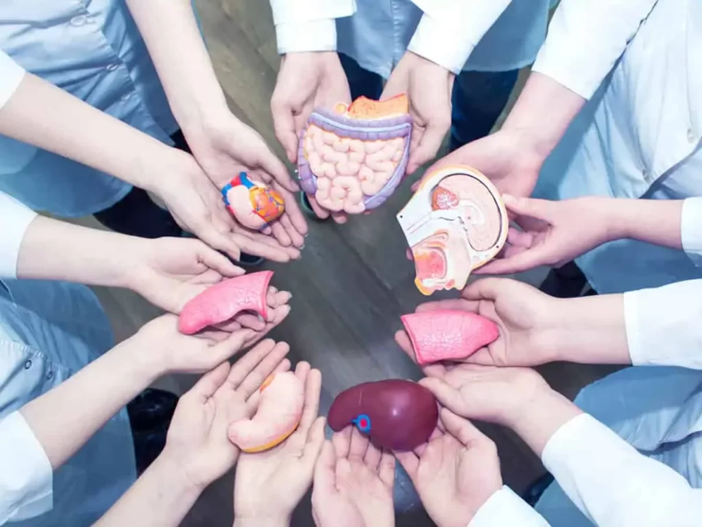 Inovi Fertility Fertility and Family Planning after Organ Transplantation: What You Need to Know