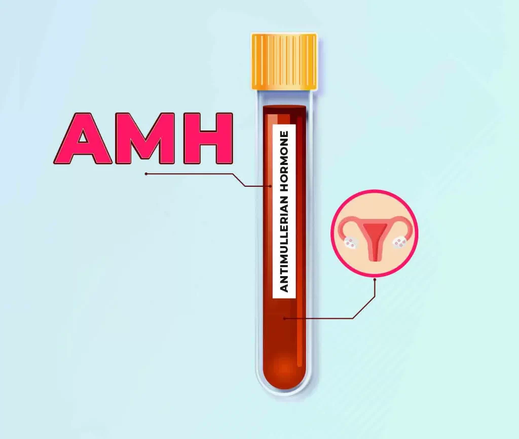 Inovi Fertility Understanding Anti-Müllerian Hormone (AMH) Levels and Fertility
